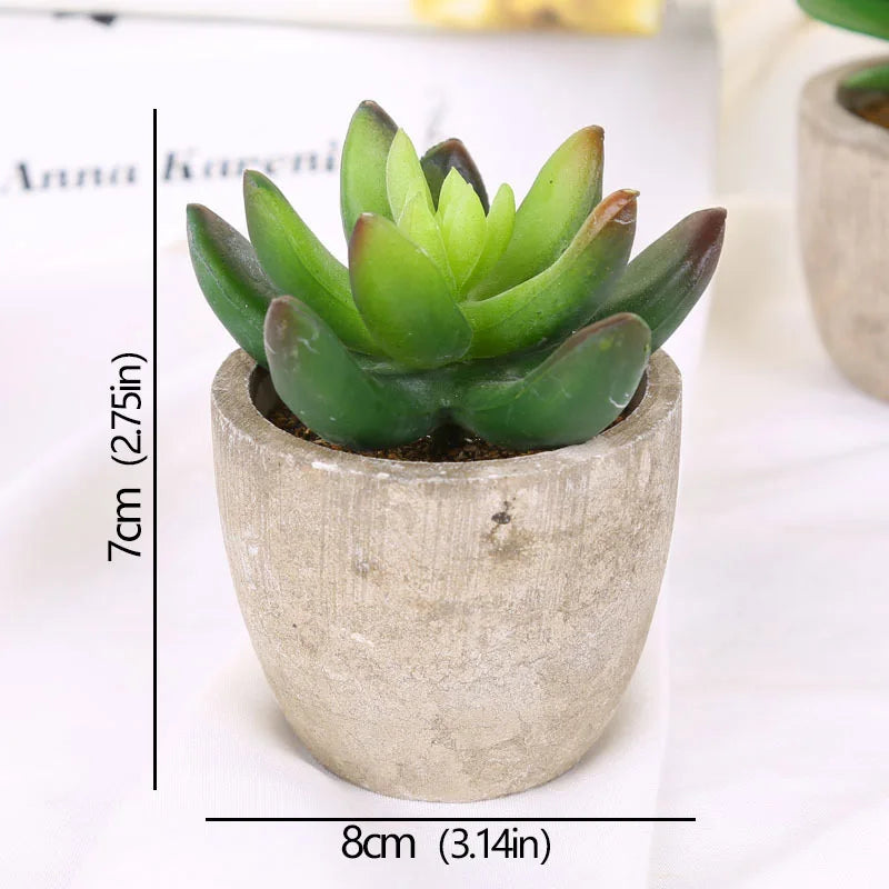Roomify EverGreen Mini