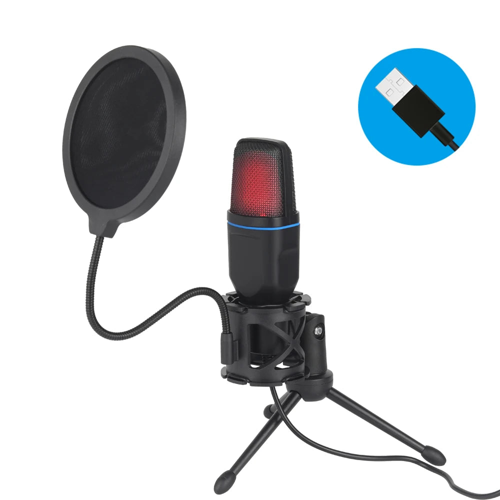 Roomify Pro-Cast Mic