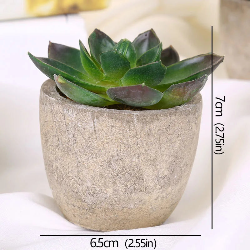 Roomify EverGreen Mini