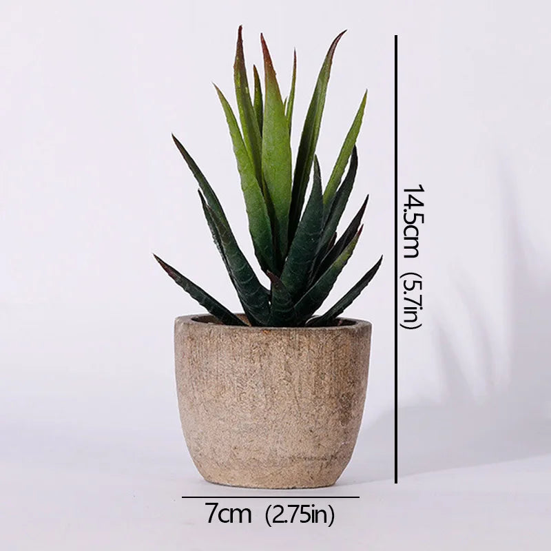 Roomify EverGreen Mini