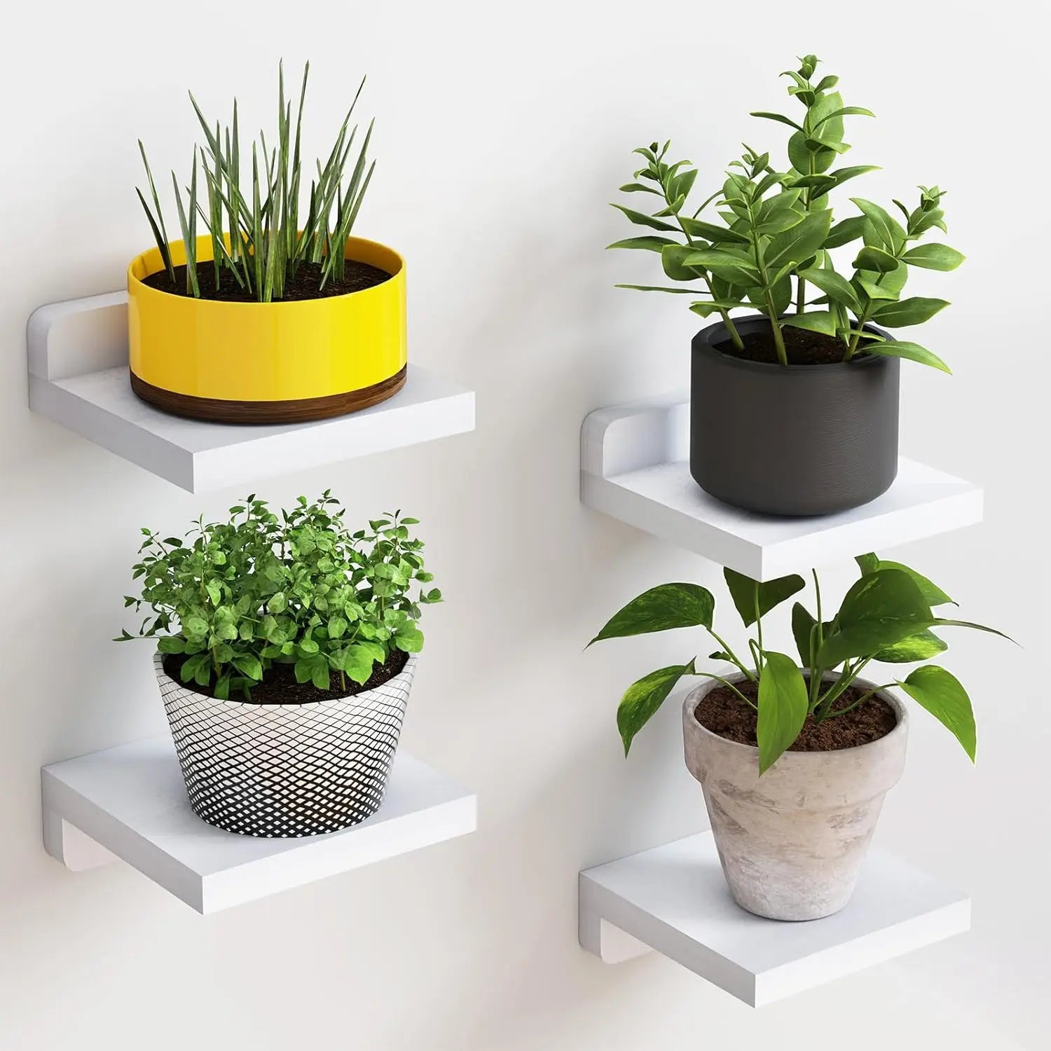 Roomify Minimalist Display Shelves