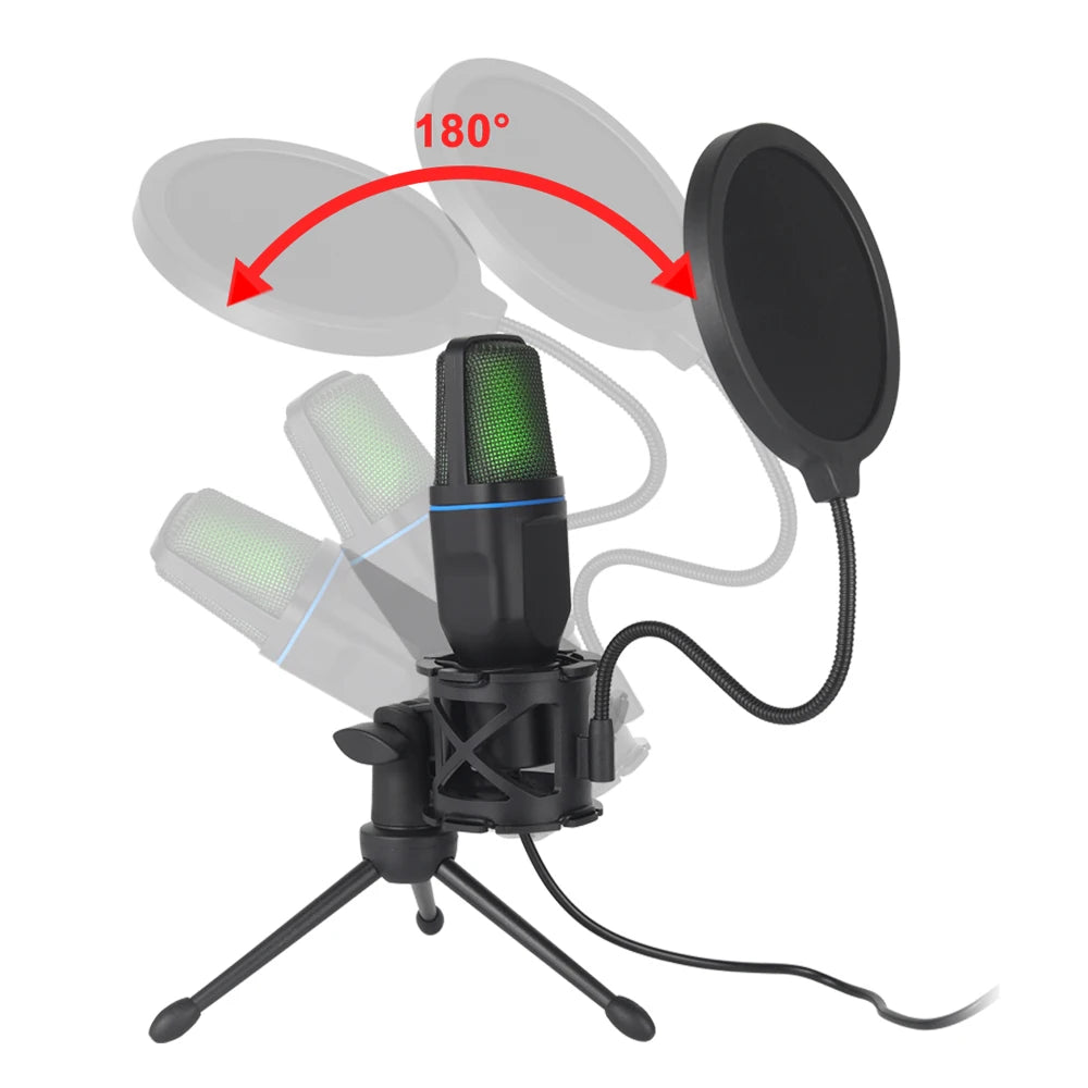 Roomify Pro-Cast Mic