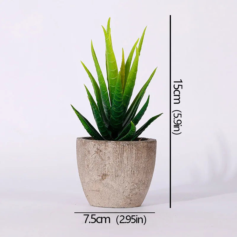 Roomify EverGreen Mini