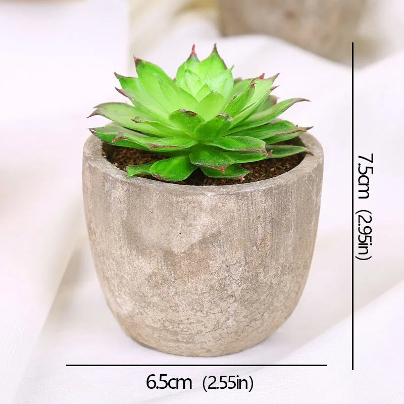 Roomify EverGreen Mini