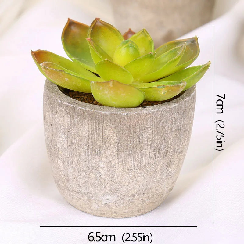 Roomify EverGreen Mini