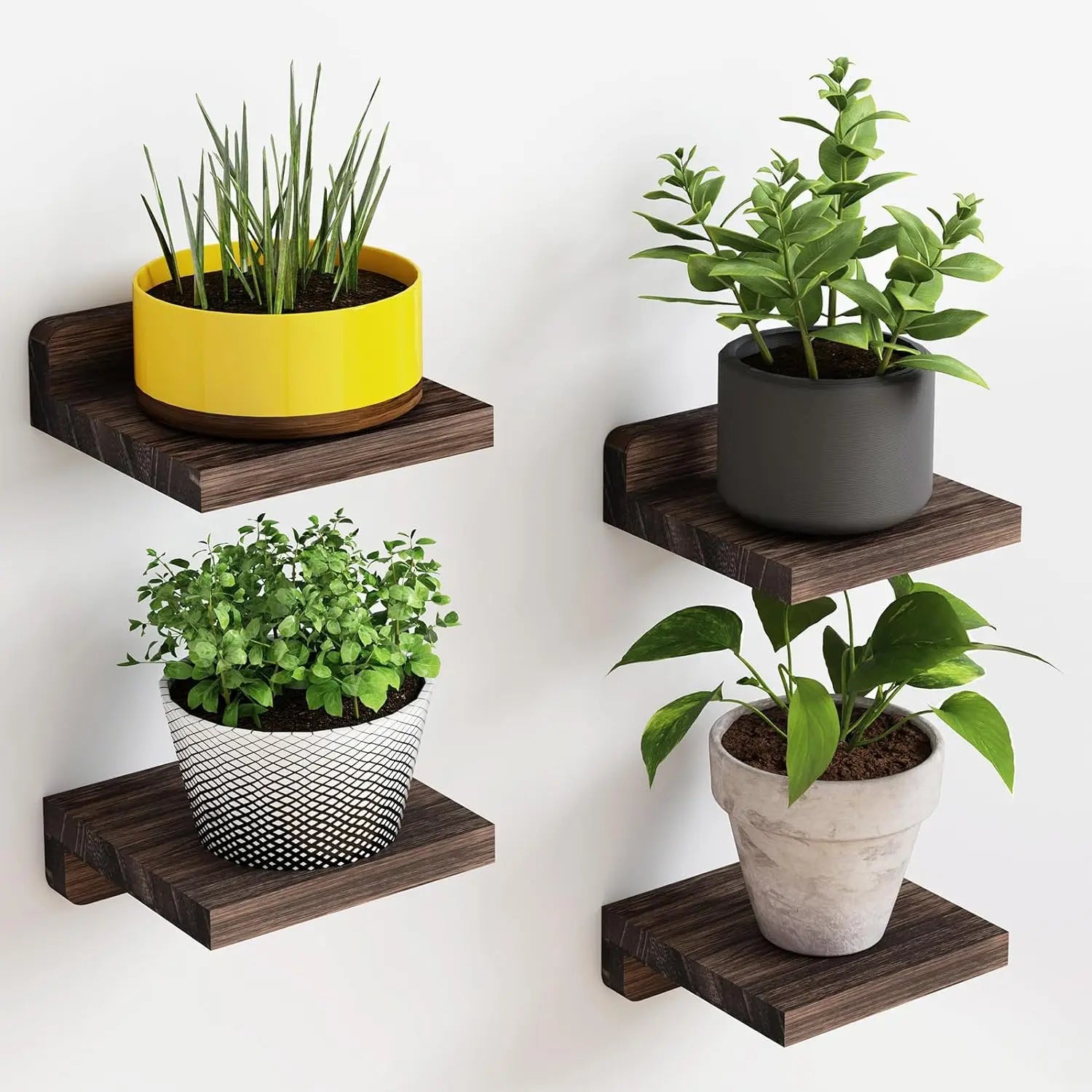 Roomify Minimalist Display Shelves