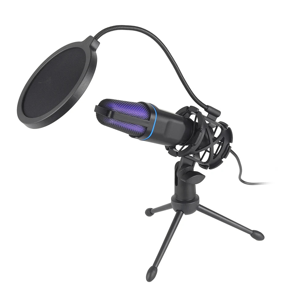Roomify Pro-Cast Mic