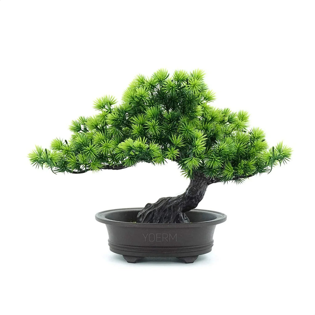 Minimalist Bonsai Desk Decor