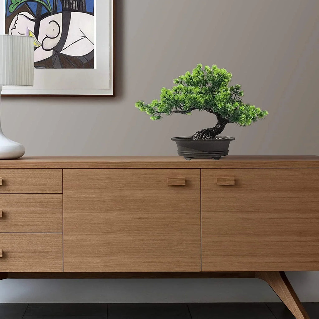 Minimalist Bonsai Desk Decor