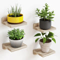 Roomify Minimalist Display Shelves