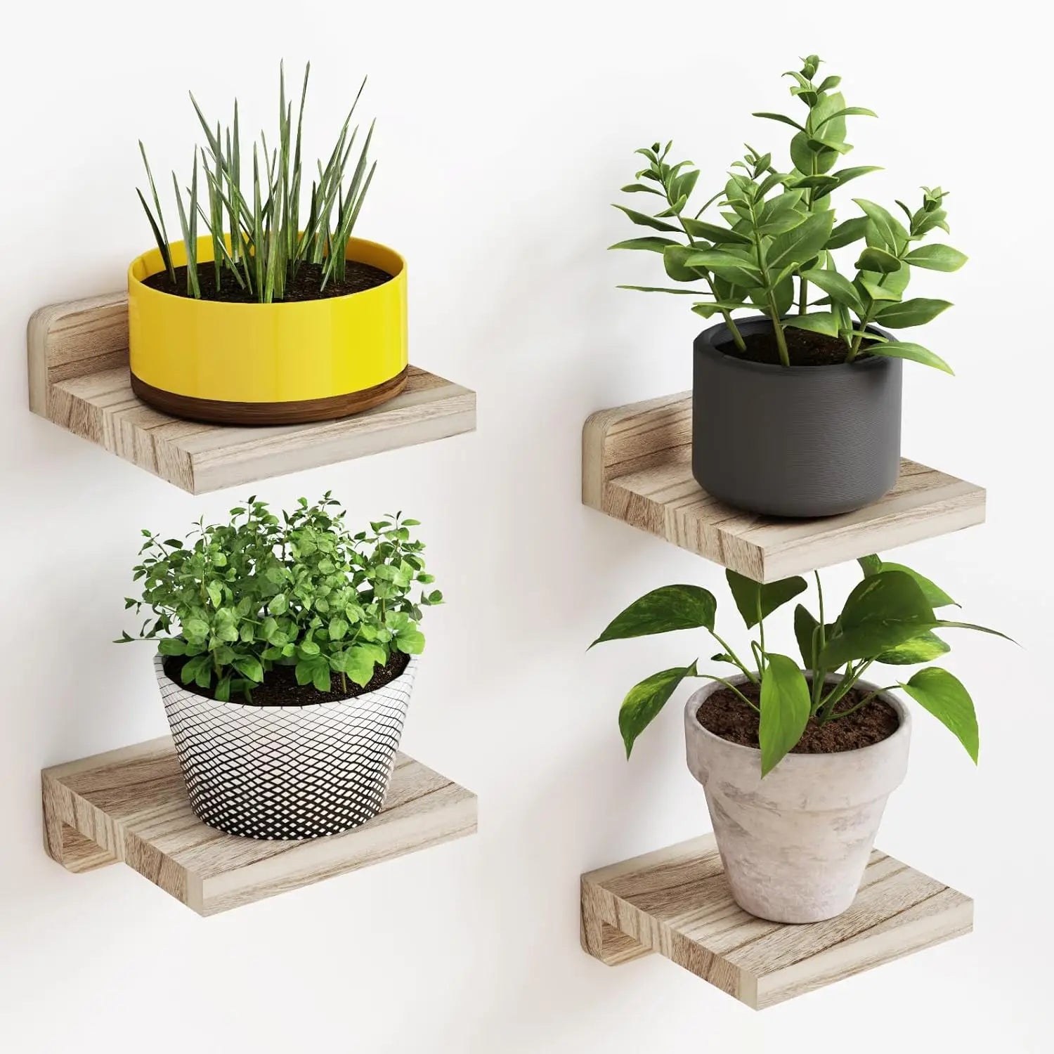 Roomify Minimalist Display Shelves