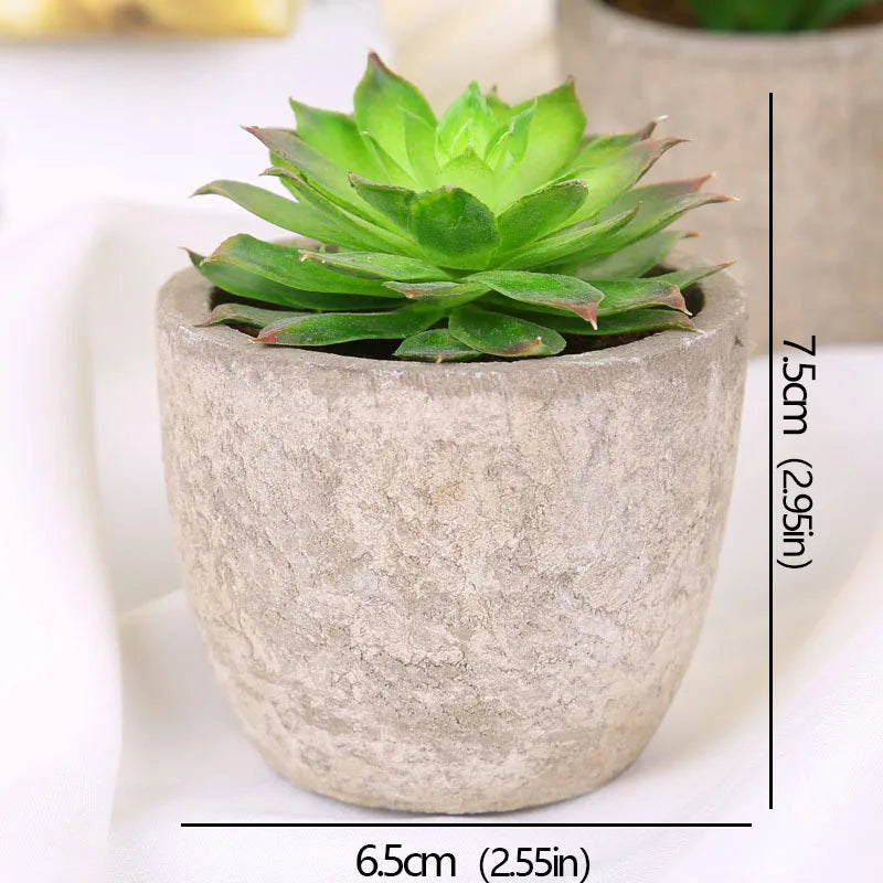 Roomify EverGreen Mini