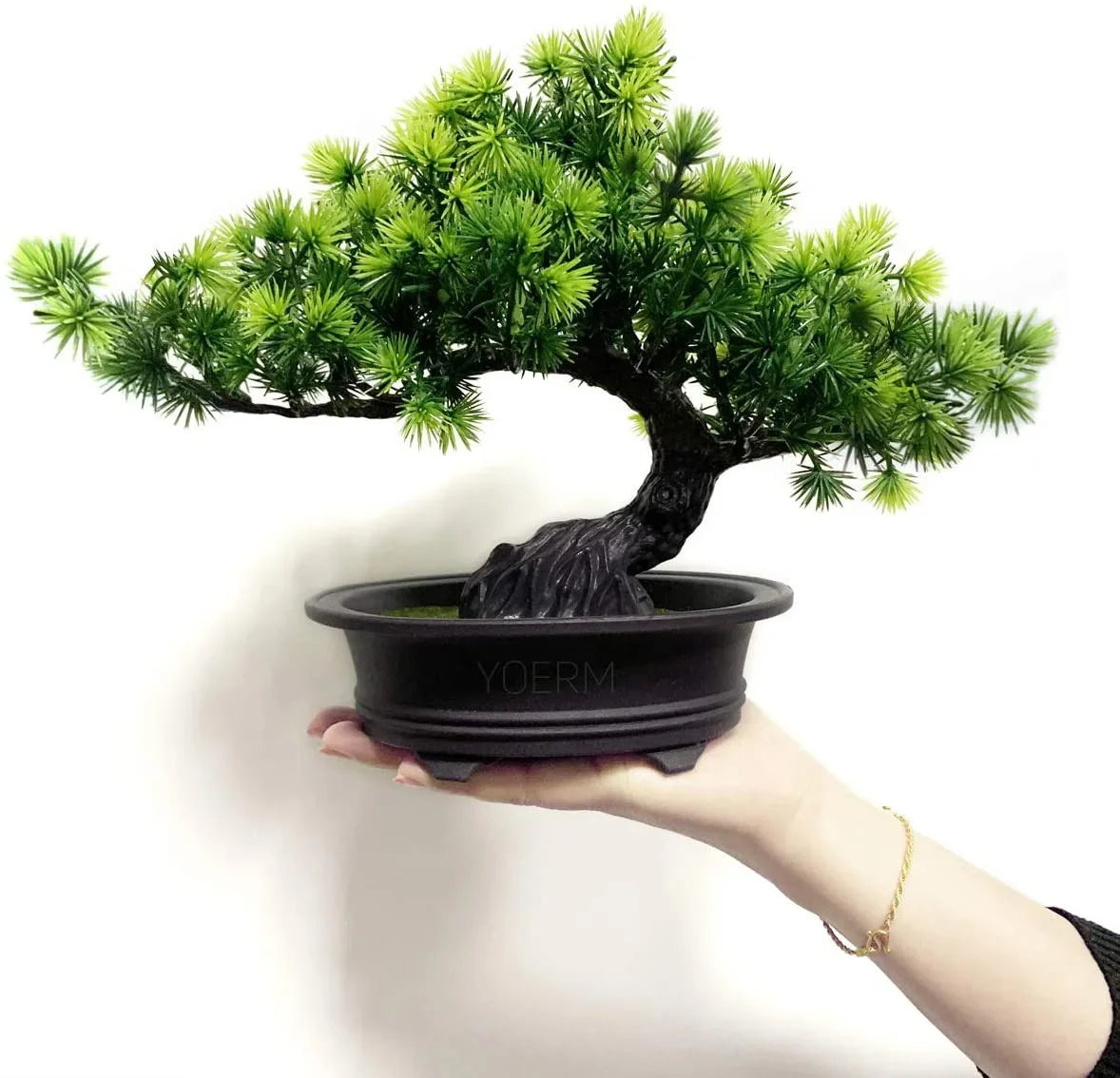 Minimalist Bonsai Desk Decor