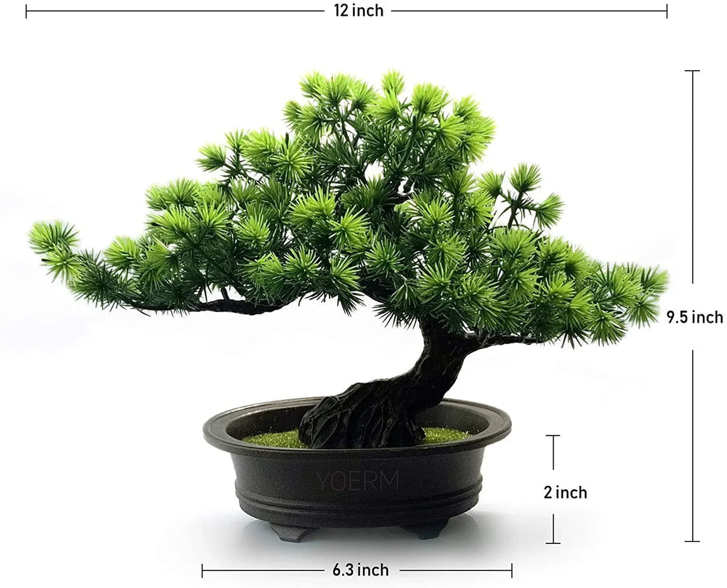 Minimalist Bonsai Desk Decor