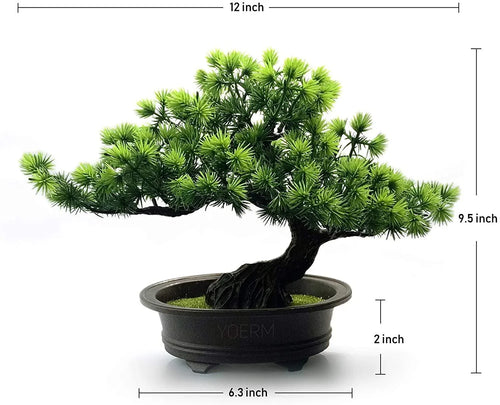 Minimalist Bonsai Desk Decor