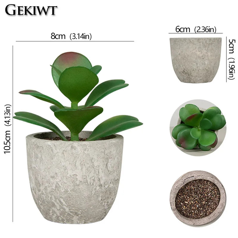 Roomify EverGreen Mini