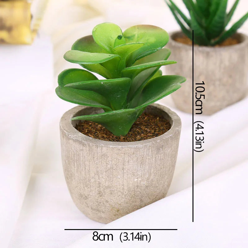 Roomify EverGreen Mini