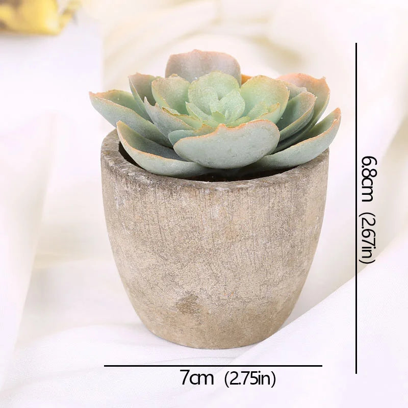 Roomify EverGreen Mini