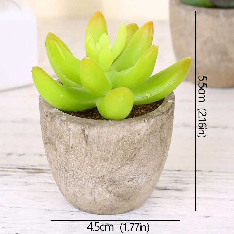 Roomify EverGreen Mini