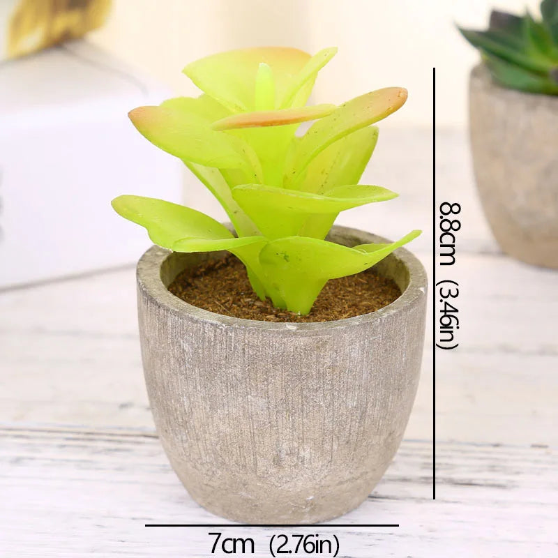 Roomify EverGreen Mini